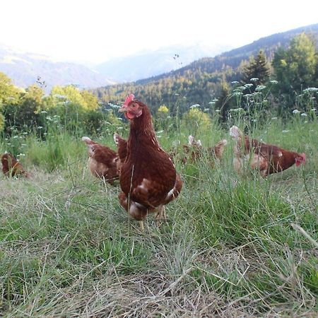 Appartement Stallfeldhof Hopfgarten im Brixental Esterno foto